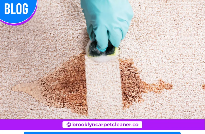 carpet cleaning in brooklyn, carpet cleaning in new york, carpet cleaning brooklyn, carpet cleaners in brooklyn, carpet cleaners in new york, commercial carpet cleaning, commercial carpet cleaning in brooklyn, brooklyn rug cleaners, rug cleaning services in brooklyn, same day carpet cleaning, same day rug cleaning
